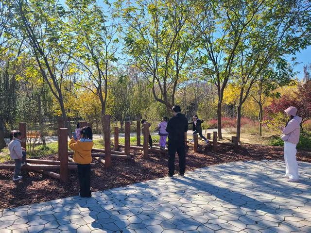 西会休闲园焕新回归，居民打卡秋日美景