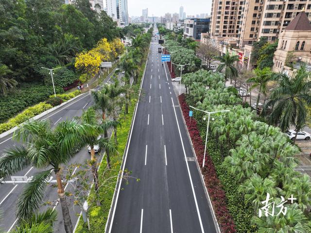 江门网站建设路（视频｜江门市民）