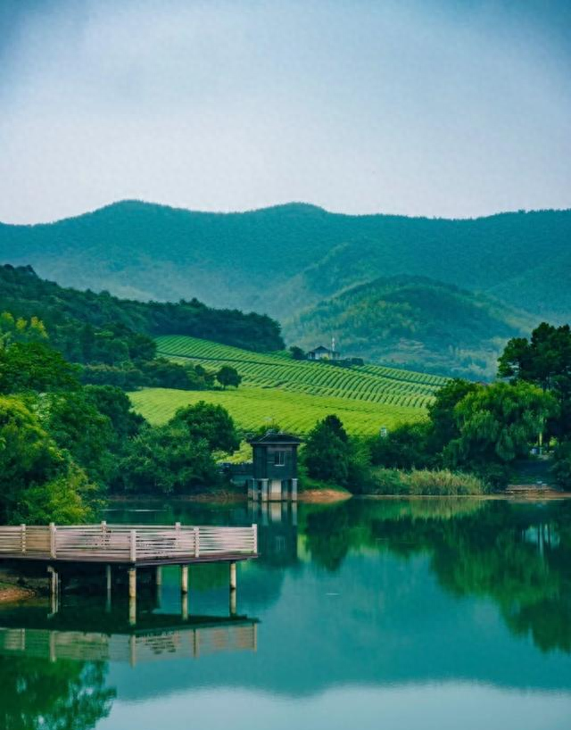 宜兴这条免费自驾线封神！竹海茶田连绵，零门票逛遍华东氧吧