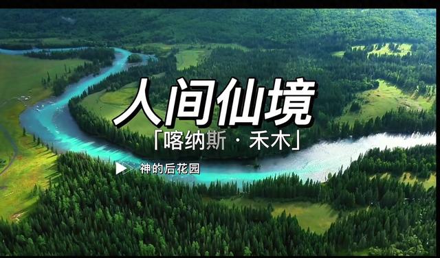 喀纳斯才是秋景顶配！入秋过后的这里，藏着全年最浓的色彩暴击