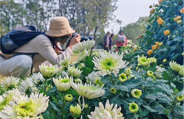 来了来了！南通秋天的仪式感
