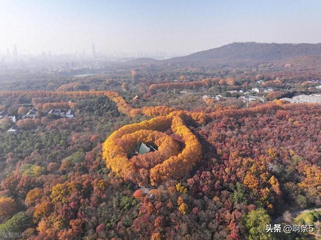 江苏南京，钟山风景区，大家展开想象，这个像什么？