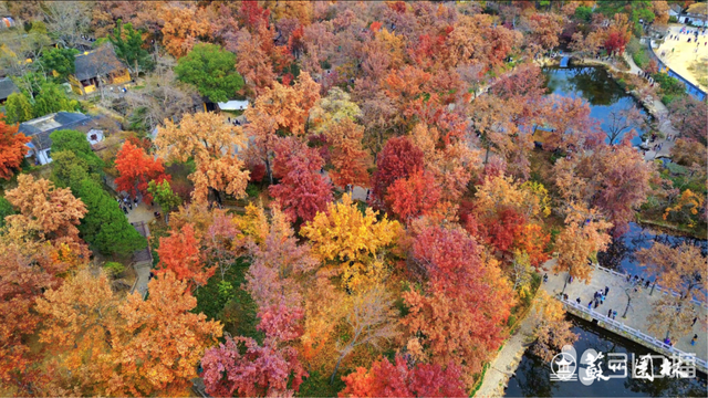 错过等一年！天平山红枫季进入收官倒计时