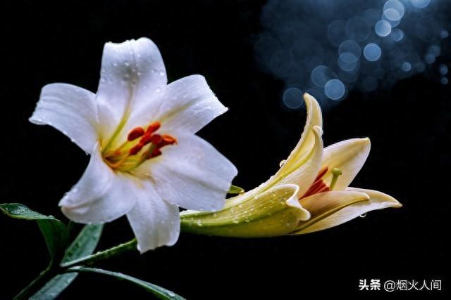 我28岁还是处女，和一个34岁男人相亲一个月后	，忍不住就想嫁给他