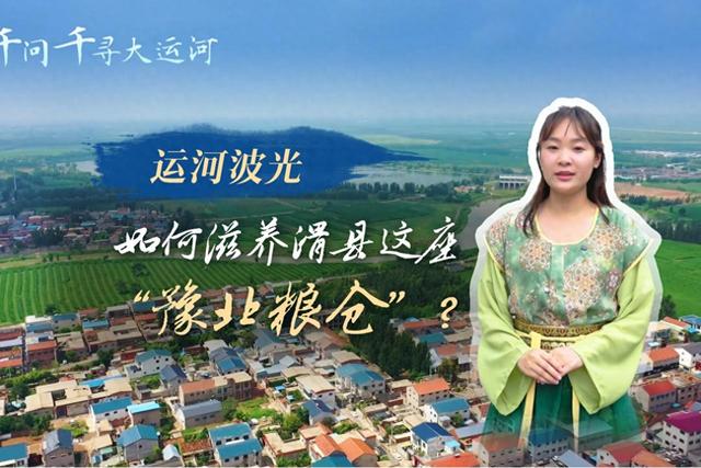 文化中国行·千问千寻大运河 | 运河波光，如何滋养滑县这座“豫北粮仓”？