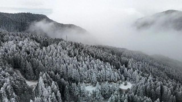 绝美！明月山今日雪景持续放送，速来打卡！