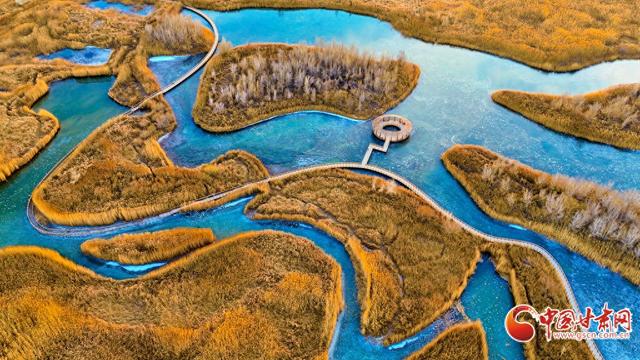 张掖湿地披金装