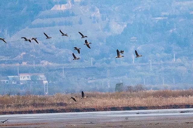 2025年12月9日 渭南文化旅游资讯微报（组图）