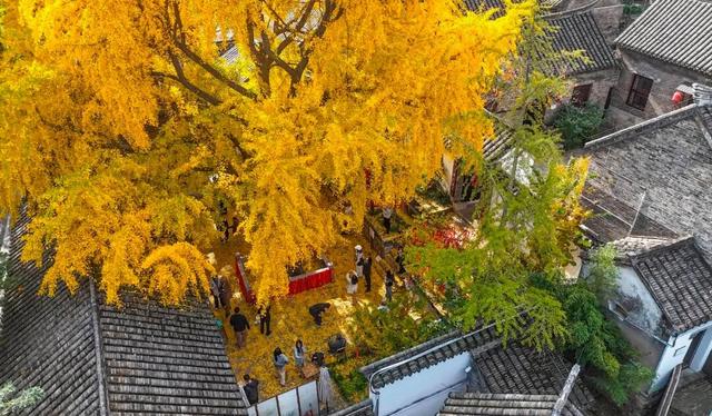 11月，是时候来一趟徐州了