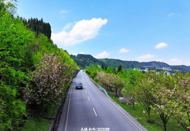 织金公路管理段：“两确保、三提升”助力路旅融合发展