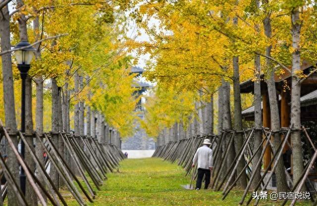 金光照耀扬州古城，这六个地点直推！