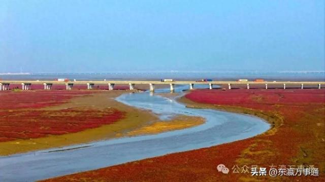 今日青岛：青岛登上多个热门旅游目的地“TOP10”榜单