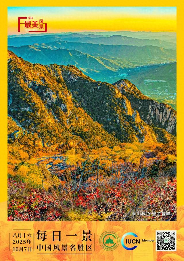 每日一景 | 泰山秋色 鎏金叠嶂