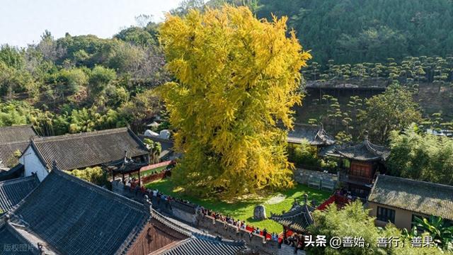 西安古观音禅寺最佳观赏时间和路线