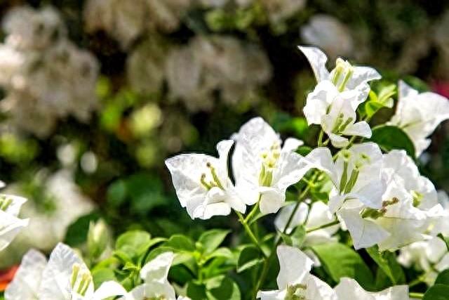 有了50万存款，让我明白更重要的东西是什么