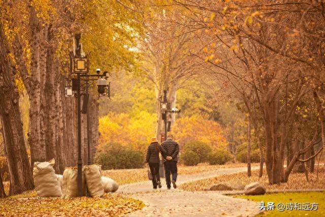 我一直在等，可是不知道等的是什么？