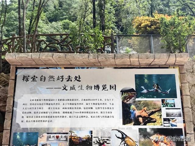 温州这个以畲族始祖命名的4A级景区，秘藏着一座“生物王国”！