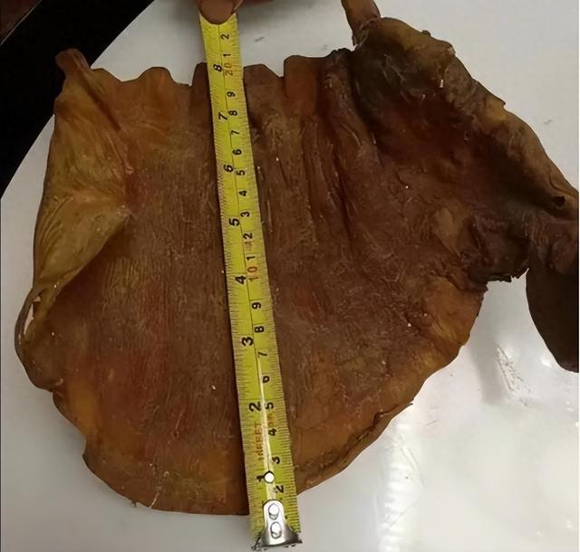 鱼胶价格是多少 2026年鱼胶价格多少一斤2025