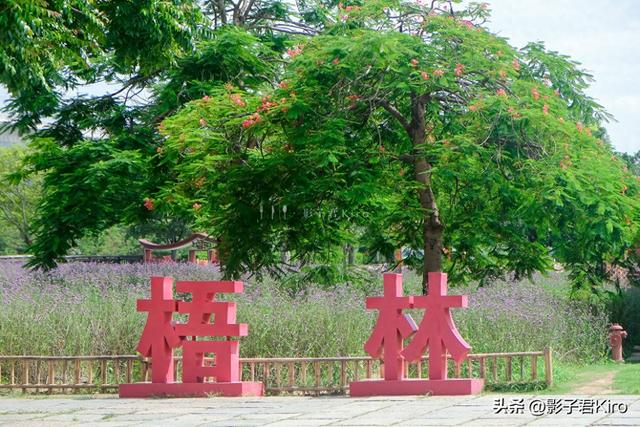 晋江古村落探寻与美食之旅：梧林·五店市一日旅食攻略