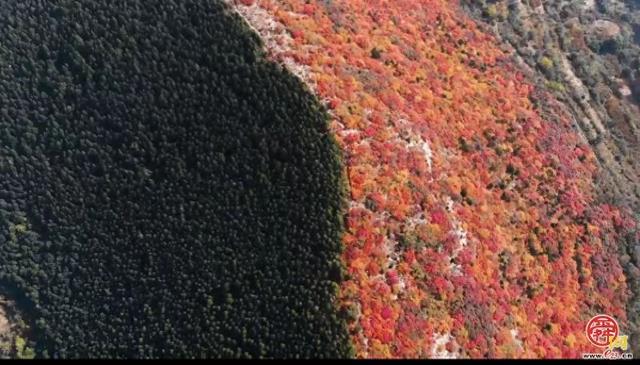 国家地理力荐！济南公交线路直达蝎子山解锁“鸳鸯火锅”红叶奇观