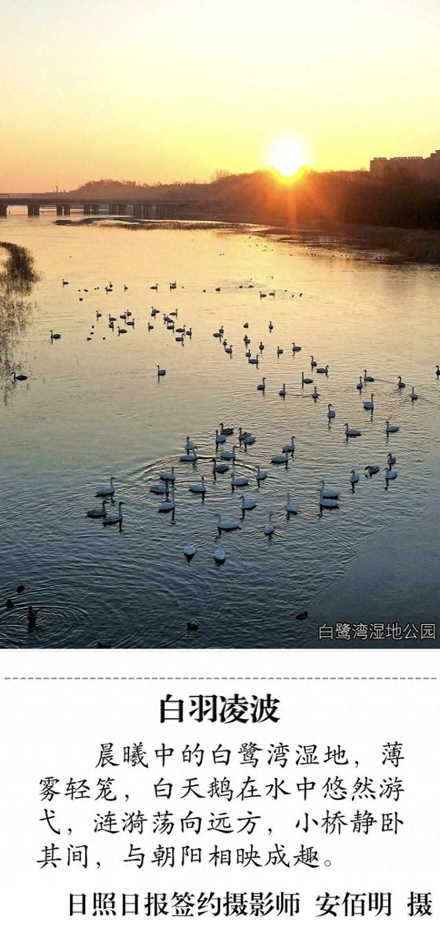 承包美与浪漫！在日照这些地方一键出片！