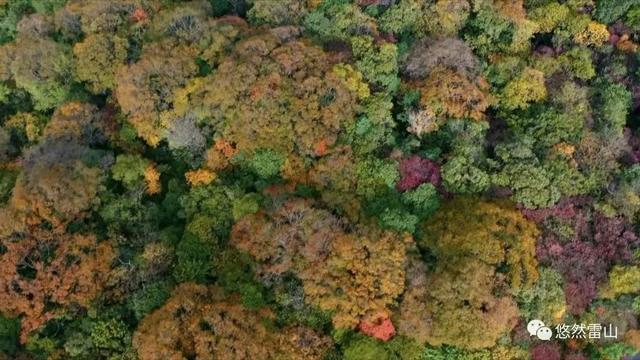 这个冬天，到贵州赴一场色彩之约