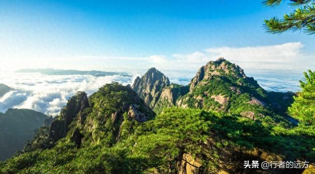 黄山vs华山：夏日云端避暑之战，谁才是你的清凉本命？