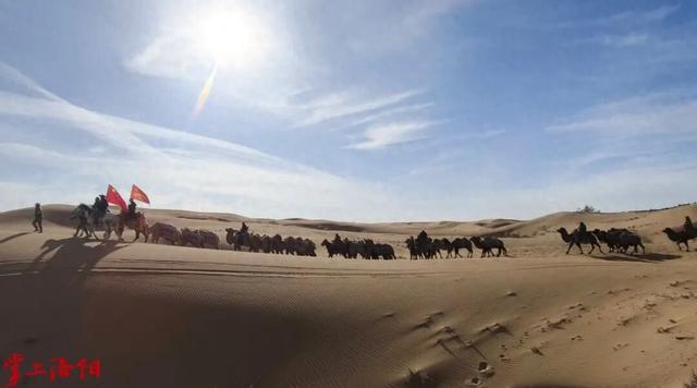 【文旅瀍河】“东天山来的骆驼队”进入宁夏版图！距离洛阳又近了