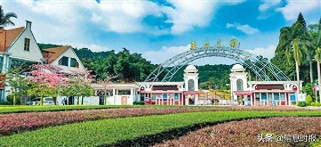 云台花园开园三十周年 听建设者说“花城明珠”诞生记