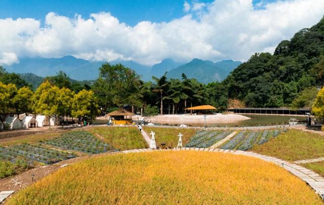 峨眉山下新晋打卡地！陶酒部落开启农旅融合新体验