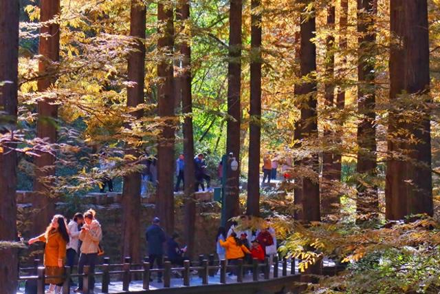 北京：秋色斑斓