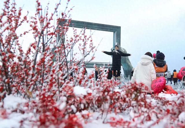冬日到“雪窝子”雪中看海