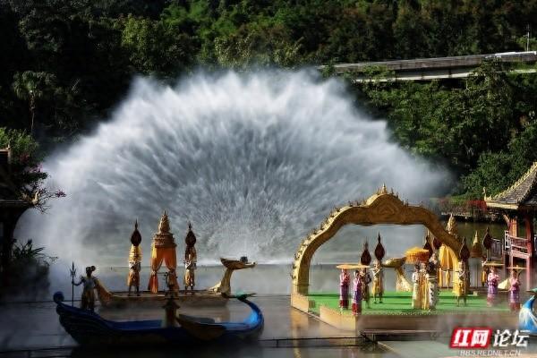 岁暖时刻丨西双版纳森林公园：彩裙碰彩伞，傣风裹着蕉香漫