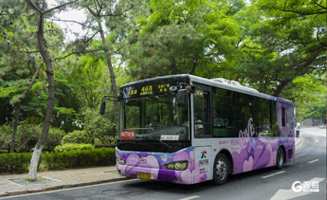 青岛多路公交变身“流动鹊桥”，这份约会出行攻略先码住！