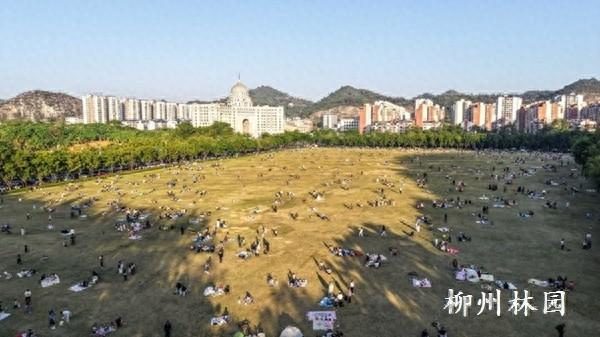 柳州市马鹿山大草坪成为冬日“追光”胜地