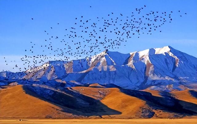 从世界最高峰到最深峡谷，西藏的极限之美