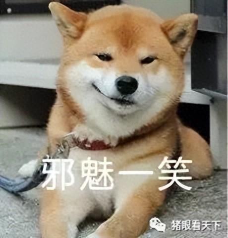 老爸眼里的神秘非洲
