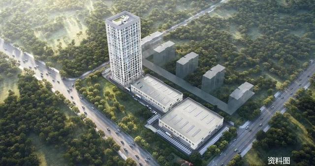 信息披露 第7页