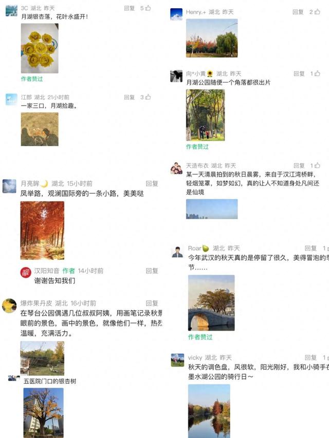 最后的金色狂欢！汉阳这三处私藏地一般人不知道→