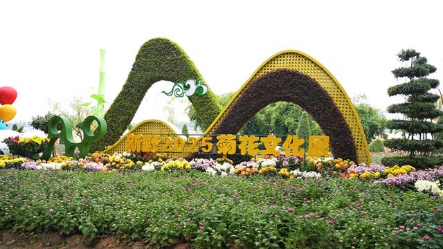 新野开启金秋赏花旅游季 打造"赏花经济"特色IP