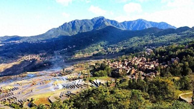 探秘“三遗产” | 一片森林与民族文化的交融共生