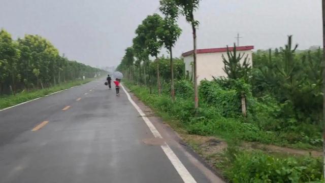 从苍木岭到小关岭，两次秦岭避雨，我们到底丢了多少乡村温情