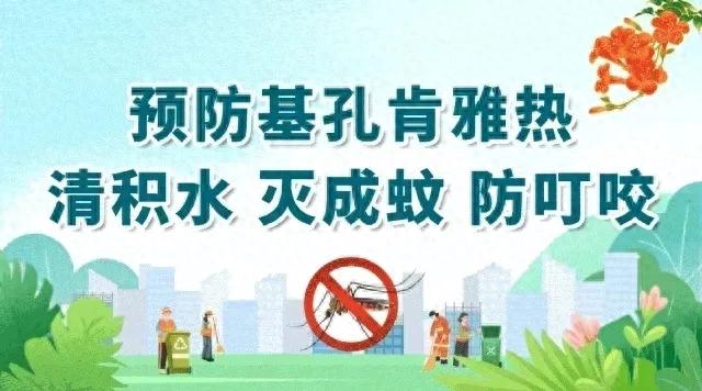 四会非遗又“整活”！双语文旅宣传片展现四会非遗魅力！