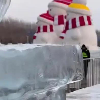 12月19日哈尔滨冰雪大世界“冰封鱼”再现!网友:这就去挖鱼!