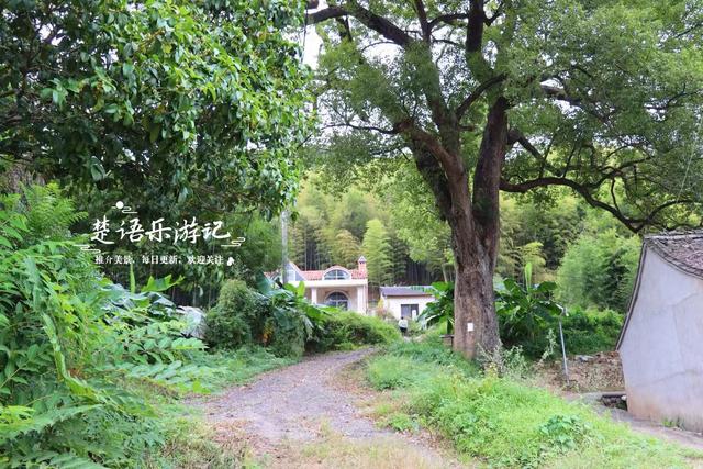 好奇怪！宁波奉化这个山村竟以“和尚”命名，村内有少数民族风情