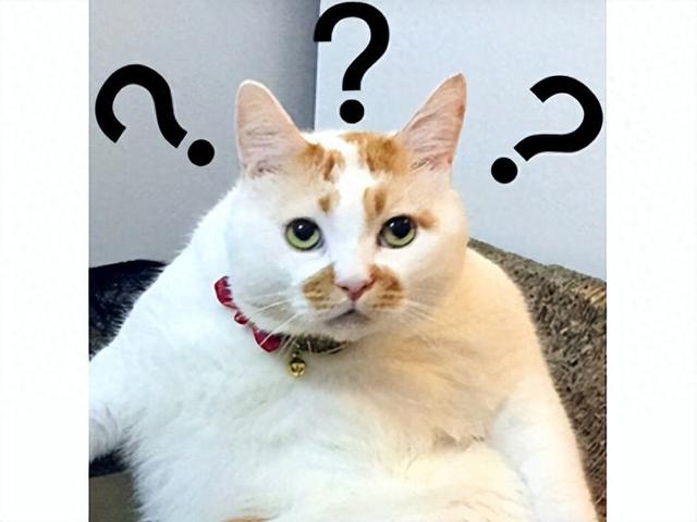 怎样下载口袋觉醒破解版（脸都不要了魔兽120再次吃书）