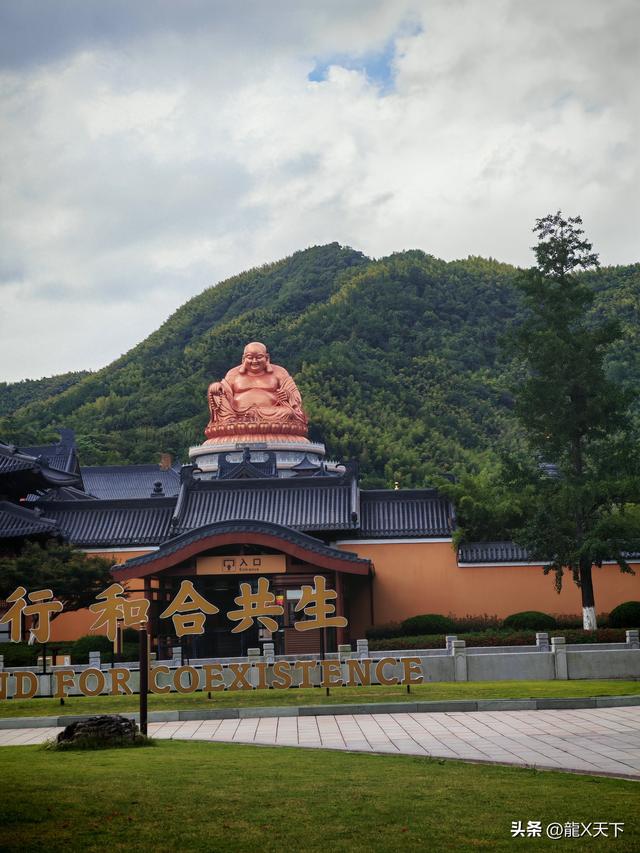 投资20年 爆雷后我如何全身而退？