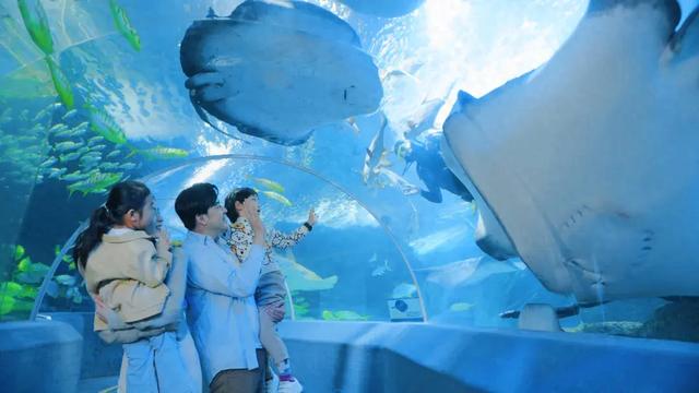 梦幻海底游戏都有什么（海底粽动员99元起闯关寻宝）
