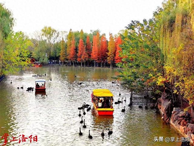 11月22日，洛阳从政坊游园将举办“汉服出行日”活动！