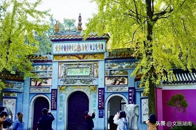 好想把自己扔进湖南这片秋景里